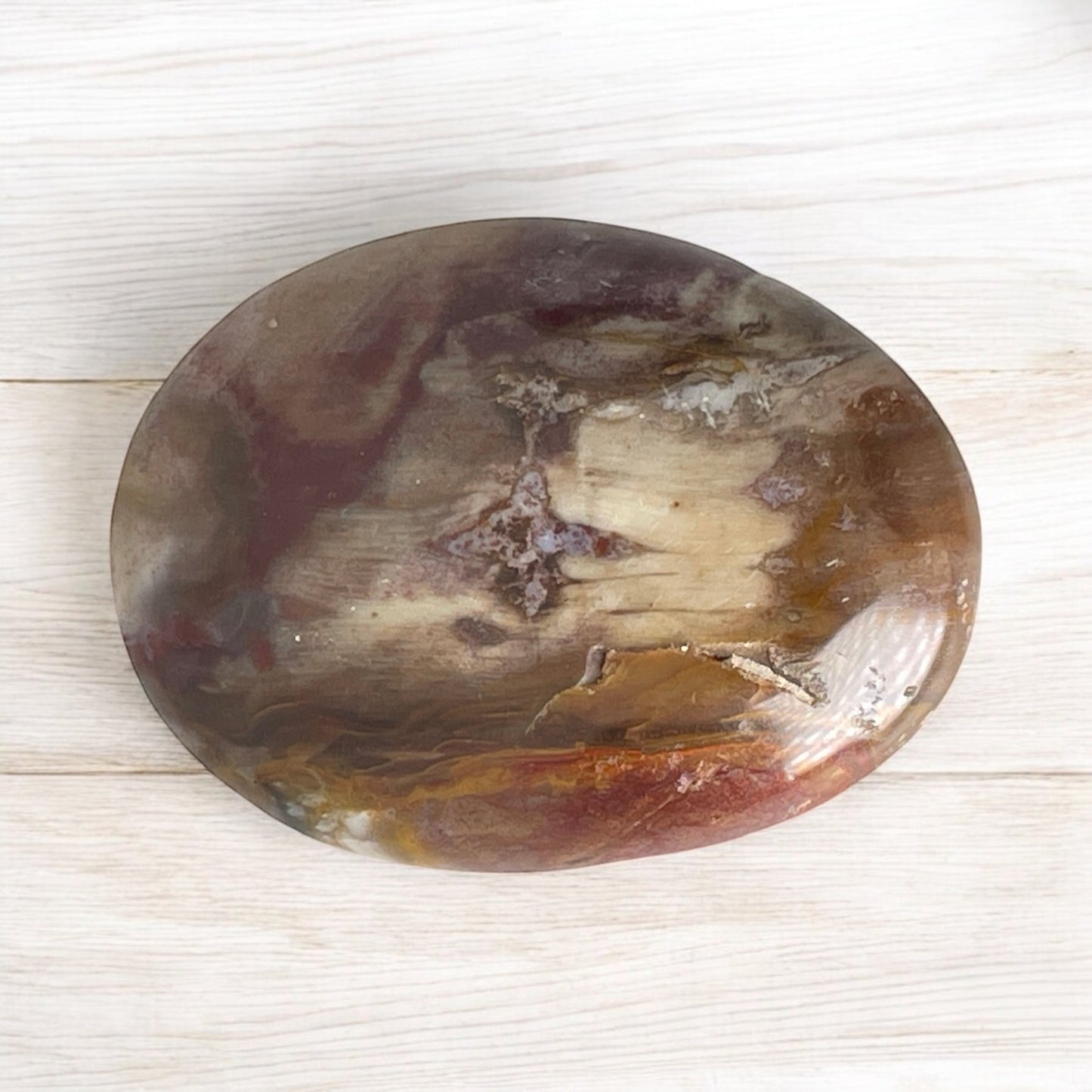 Petrified Wood - Palm Stone