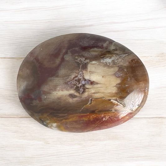 Petrified Wood - Palm Stone